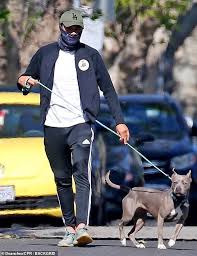 These innocent darlings were left behind a hardware store in lake county and upon discovery they were taken to the local shelter. Crazy Rich Asians Star Henry Golding Takes His Pitbull Out For A Walk Daily Mail Online