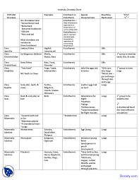 animalia chordata chart application of biology lecture