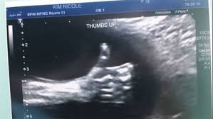 Pin On Sometimes You Just Gotta Say Wtf