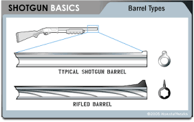 whats the difference between a shotgun and a rifle how