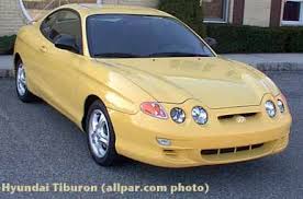 Image result for Cobalt Blue 2000 Tiburon