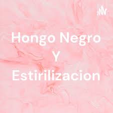 Encuentran en argentina el primer caso de 'hongo negro': Hongo Negro Y Esterilizacion By Hongo Negro Y Estirilizacion A Podcast On Anchor