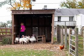 If you will be repairing (or constructing) farm machinery, furniture or other major projects, your shop might contain a full line of woodworking tools, a welder or an array of small engine or automobile tools. Easy Animals To Raise On The Small Farm