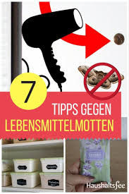 Lebensmittelmotten Erfolgreich Bekampfen Lebensmittelmotten Haushalt Haushaltsfee