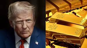 Tiger Zinda Hai: Maharashtra's Karan meets soulmate in Telangana's Nirmal