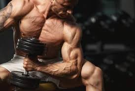 Just ask any of the many vegan bodybuilders. Indian Diet Plan For Bodybuilding Veg And Non Veg Dietburrp