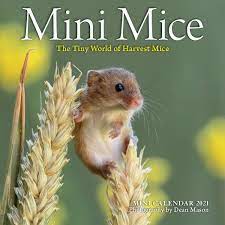 2021 mini yearly calendar printable template pdf | etsy from i.etsystatic.com. Mini Mice 2021 Calendar The Tiny World Of Harvest Mice Amazon De Mason Dean Workman Calendars Fremdsprachige Bucher