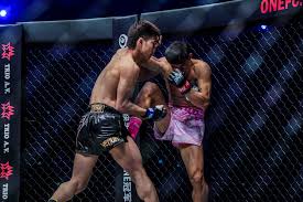 Image result for Nemum