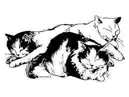 A cat sleeping in the sofa coloring page. Coloring Sleeping Cats Cat Coloring Page Cat Coloring Book Cat Colors