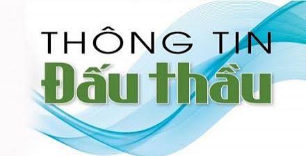 QUYẾT ĐỊNH Về việc đấu giá quyền sử dụng đất dự án Hạ tầng kỹ thuật khu dân cư Nổ Dọc, Tây đường vào Thôn 3, xã Thiệu Lý, huyện Thiệu Hóa cũ, nay là xã Thiệu Trung, tỉnh Thanh Hóa