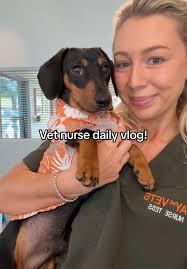 Behind the Scenes of a Vet Nurse: Daily Vlog Revealed!