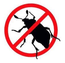 But forking over a few dollars here and there eventually adds up. Fort Myers Florida Pest Control Services Turner Pest Control
