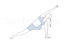 SIDE ANGLE POSE