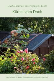 Vertikales Gartnern Kurbis Vom Dach Kurbis Pflanzen Gewachs Garten