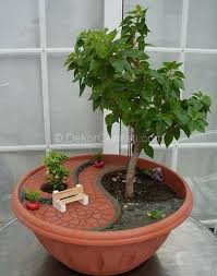 Afyon Minyatur Bahce Ve Teraryum Terrarium About Facebook