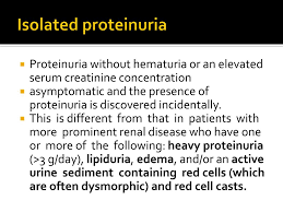 Image result for Isolated Proteinuria
