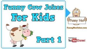 If you like these cow jokes, have a look here for an alphabetical list of joke topics. Top 50 Funny Cow Puns Jokes One Liners And Pick Up Lines Legit Ng