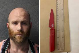 Tottenham man jailed after cutting off mans penis | Surrey Comet