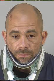 Biker who hit patrol car and flew off had 16 convictions for driving  without a license