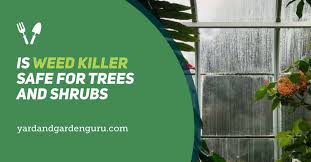 With roundup landscape weed preventer, you can be confident that you'll be preventing weeds but not damaging the plants you love. Is Weed Killer Safe For Trees And Shrubs