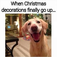 Funny Meme About Christmas Ft Funny Dog Christmas Memes Funny Funny Merry Christmas Memes Merry Christmas Funny