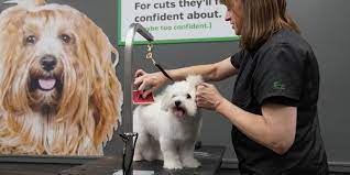 Pet Supplies Plus Talmadge 4115 Talmadge Rd Toledo Oh Pet Supplies - Mapquest