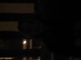 Y'en a qui non seulement manquent d'imagination, mais en plus, il leur manque un bouton sur la souris. La Poutre De Bamako Video Dailymotion