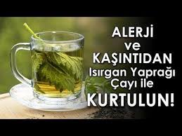 Alerji Ve Kasintidan Isirgan Yapragi Cayi Ile Kurtulun Youtube 2020 Diyet Ipuclari Saglik Urunleri Alternatif Saglik