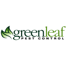 See reviews for irish pest weeds & termite in surprise, az at 13954 w. Pest Control Companies In Glendale Arizona Arizona Last Updated May 2021 Top Rated Local