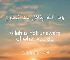 Pin On Inspirational Islamic Quotes And Sayings