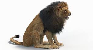 Lion 2 Fur Cat 3d Model In 2020 Lion Cats Nature Animals