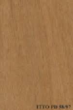 Image result for Uapaca guineensis