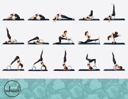 Yoga Wheels Dharma Yoga Yoga Fitness Yoga Poses
