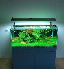 As a general rule of thumb, artificial 'normal' lights are best used to keep older low light tolerant species alive. Hanging 2 Feet Aquarium Light For Planted Tank Led Aquarium Lighting Aquarium Lighting Aquarium