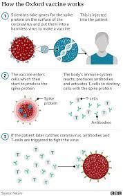 Astrazeneca's efficacy data relates to fewer people than the other vaccines; Oxford Astrazeneca One Blood Clot Linked To Covid Jab In Wales Bbc News