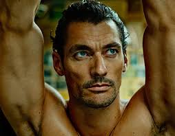 Gandy Proyectos :: Fotos, vídeos, logotipos, ilustraciones y marcas ::  Behance