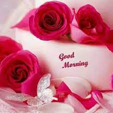 Your morning would decide how your day will go. Roses Of Love Good Morning To All My Beautiful And Facebook
