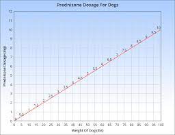 Prednisone For Dogs Dosage Side Effects And More Dog Medicine Meds For Dogs Diarrhea In Dogs