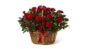 While there's no denying the beauty of fresh floral arrangements, one advantage of flowering plants is that they generally live longer than cut flowers. Grower Direct Green And Flowering Potted Plants