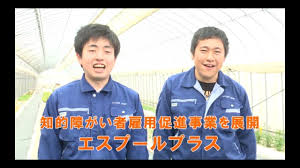 知的障がい者の雇用促進のため わーくはぴねす農園 を年内３ケ所増設 Youtube