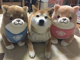Tetsu Shiba Con Imagenes Ternurita