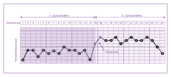 Während eines normalen zyklus' steigt die körpertemperatur unter einfluss des gelbkörperhormons progesteron (der wichtigste vertreter unter den gestagenen) circa zwei tage nach dem eisprung leicht. Evial Basalthermometer Inopharm Gmbh
