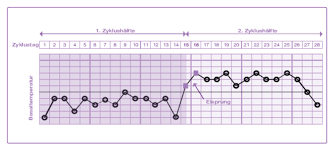 Die temperaturkurve hilft dir dabei, herauszufinden, wann deine fruchtbaren tage sind, denn zum zeitpunkt des eisprungs steigt deine temperatur an. Evial Basalthermometer Inopharm Gmbh