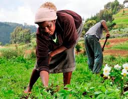Image result for image of women farmers