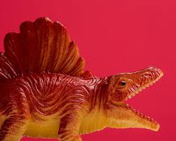Image result for Dimetrodon