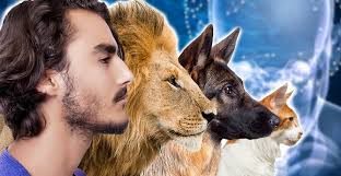 Why Humans are the Only Species to have Chins