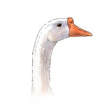 Goose Watercolor Illustration Watercolor Illustration Illustration Watercolor