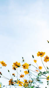 Top Ten Best Spring 2020 Wallpapers For Iphone X And Iphone 11 In 2020 Spring Landscape Photos Spring Pictures Spring Wallpaper