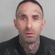 Driver found hiding up tree after police chase car and call in helicopter  and dog units