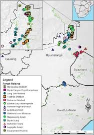 Image result for Adenia zambesiensis